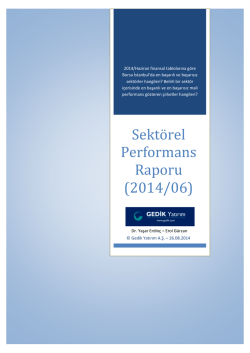 Sekt&ouml;rel Performans Raporu (2014/06)