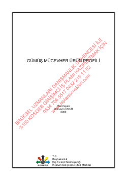 G&uuml;m&uuml;ş ve m&uuml;cevher imalatı - iş planı &ouml;rnekleri iş planı &ouml;rneği