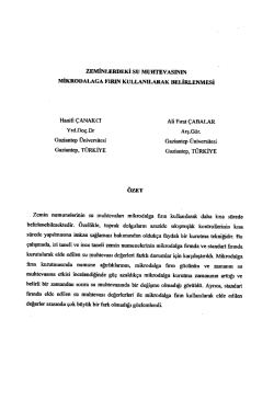 mniﬁ &Ccedil;ANAKCI Aıi Fırat &Ccedil;ABALAR