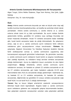S10. Arteria Carotis Communis Bifurkasyonuna Ait Varyasyonlar