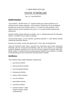 TESTİS TÜMÖRLERİ