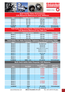 gambını - Birlik Rulman