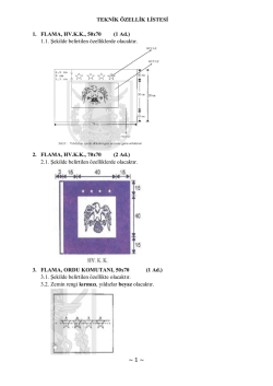 TEKNİK &Ouml;ZELLİK LİSTESİ 1. FLAMA, HV.K.K., 50x70 (1 Ad.) 1.1