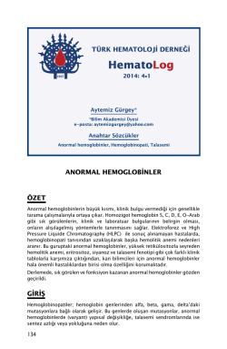 HematoLog - T&uuml;rk Hematoloji Derneği