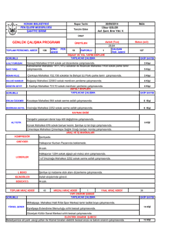 g&uuml;nl&uuml;k &ccedil;alışma programı