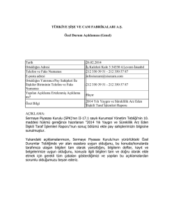 2014 Yılı Yaygın ve S&uuml;reklilik Arz Eden İlişkili Taraf