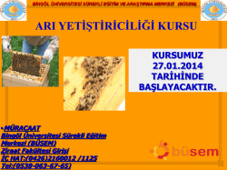 arı yetiştiriciliği kursu