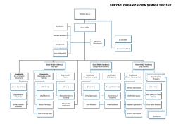 suryapı organizasyon şeması_120315/2