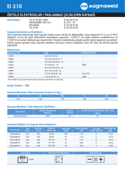 EI 310 - Oerlikon Kaynak