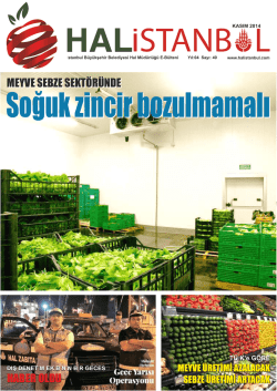 Kasım 2014 - Halistanbul