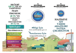 PEŞİN &Ouml;DEMEDE