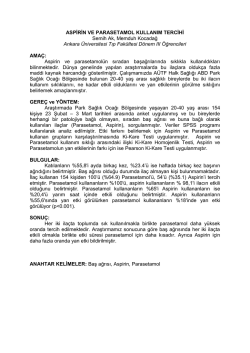 A&Uuml;TF KDT-APY D&Ouml;NEM 3 PROJE &Ouml;ZET&Yacute;