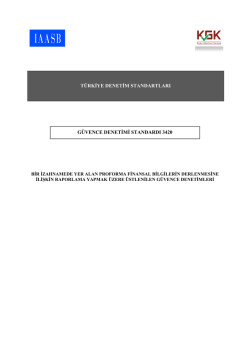 GDS 3420 Bir İzahnamede Yer Alan Proforma Finansal Bilgilerin