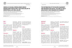 hırsızlık su&ccedil;una s&uuml;r&uuml;klenmiş erkek ergenlerin