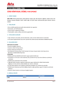 C950 KİMYASAL D&Uuml;BEL PUR EPOKSİ