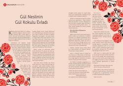 G&uuml;l Neslinin G&uuml;l Kokulu Evladı