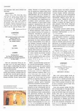 TDV DIA - İslam Ansiklopedisi