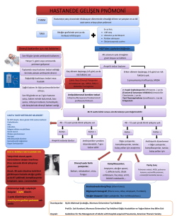 HASTANEDE GELİŞEN PN&Ouml;MONİ