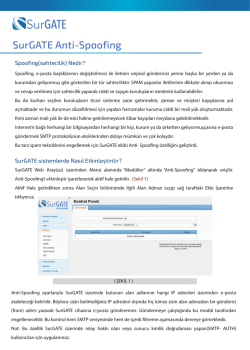 SurGATE Anti-Spoofing