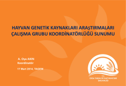 Hayvan Genetik Kaynaklar A.&Ccedil;.G._A.Oya AKIN