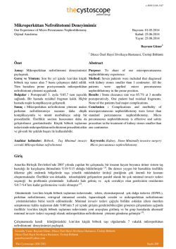 Mikroperk&uuml;tan Nefrolitotomi Deneyimimiz