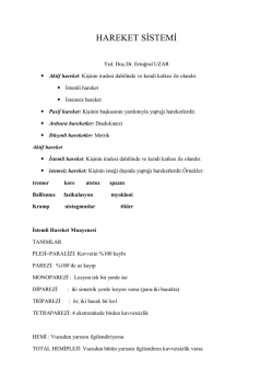 HAREKET SİSTEMİ