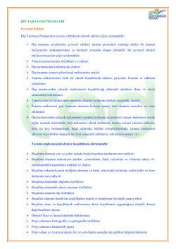 DİP TARAMASI PROJELERİ Çevresel Etkiler: Dip Taraması