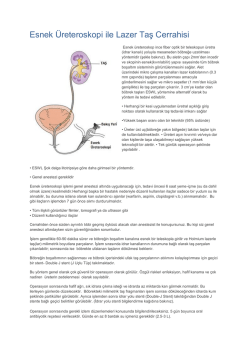 Esnek Üreteroskopi ile Lazer Taş Cerrahisi