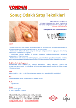 dosyayı indir - y&ouml;ndem danışmanlık