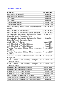 Toplumsal Zorluklar &Ccedil;ağrıları