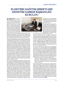 elektrik dağıtım şirketleri denetim dairesi başkanlığı kuruldu