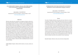 &Ouml;ZET (PDF) - Akuademi.Net