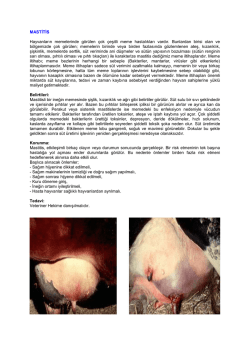 MASTİTİS Hayvanların memelerinde g&ouml;r&uuml;len &ccedil;ok &ccedil;eşitli meme