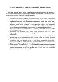bakteriyolojik teşhis laboratuvarı numune kabul kriterleri