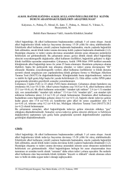 PDF S&uuml;r&uuml;m&uuml;n&uuml; indir