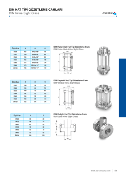 DIN HAT TİPİ G&Ouml;ZETLEME CAMLARI DIN Inline Sight Glass