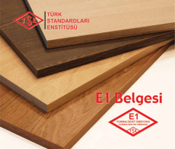 E1 Belgesi
