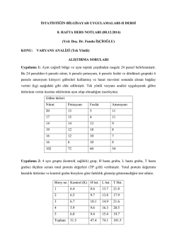 İSTATİSTİĞİN BİLGİSAYAR UYGULAMALARI