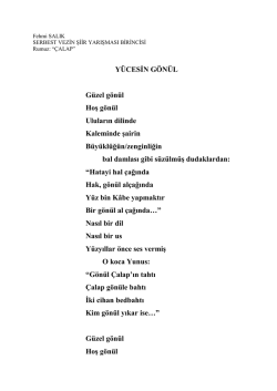 Fehmi SALIK &ldquo;Y&Uuml;CESİN G&Ouml;N&Uuml;L &rdquo;