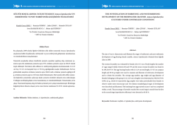 &Ouml;ZET (PDF) - Akuademi.Net