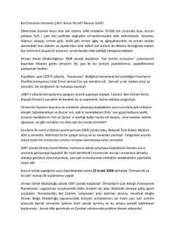 Bal Ormanları Nereden Çıktı? Amacı Ne İdi? Nereye Geldi