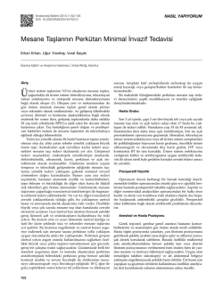 Mesane Taşlarının Perk&uuml;tan Minimal İnvazif Tedavisi