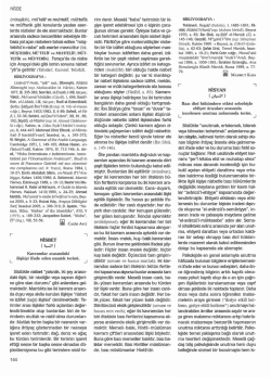 TDV DIA - İslam Ansiklopedisi