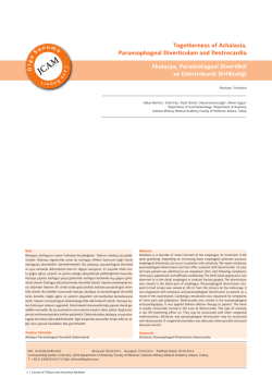 Togetherness of Achalasia, Paraesophageal Diverticulum and
