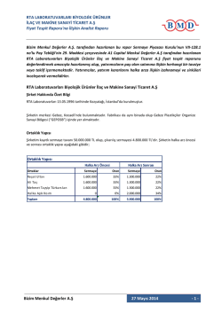 Fiyat Tespit Raporuna İlişkin Analist Raporu - RTALB