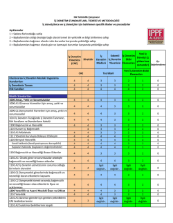 IIA Yetkinlik &Ccedil;er&ccedil;evesi İ&Ccedil; DENETİM STANDARTLARI, TEORİSİ VE
