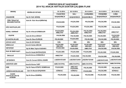 HAFTALIK DOKTOR &Ccedil;ALIŞMA PLANI.Krp