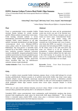 ESWL Sonrası Gelişen &Uuml;retero-İleal Fist&uuml;l: Olgu