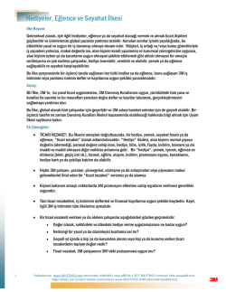 Hediyeler, Eğlence ve Seyahat İlkesi