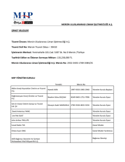 MIP Şirket Bilgileri